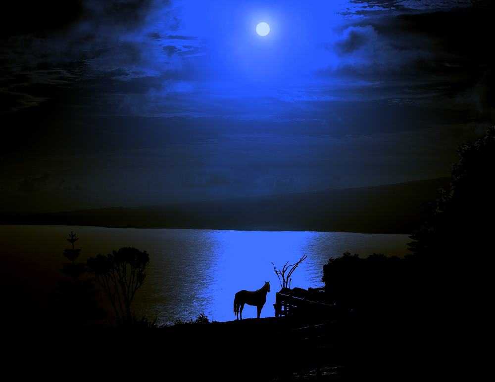 Moonrise