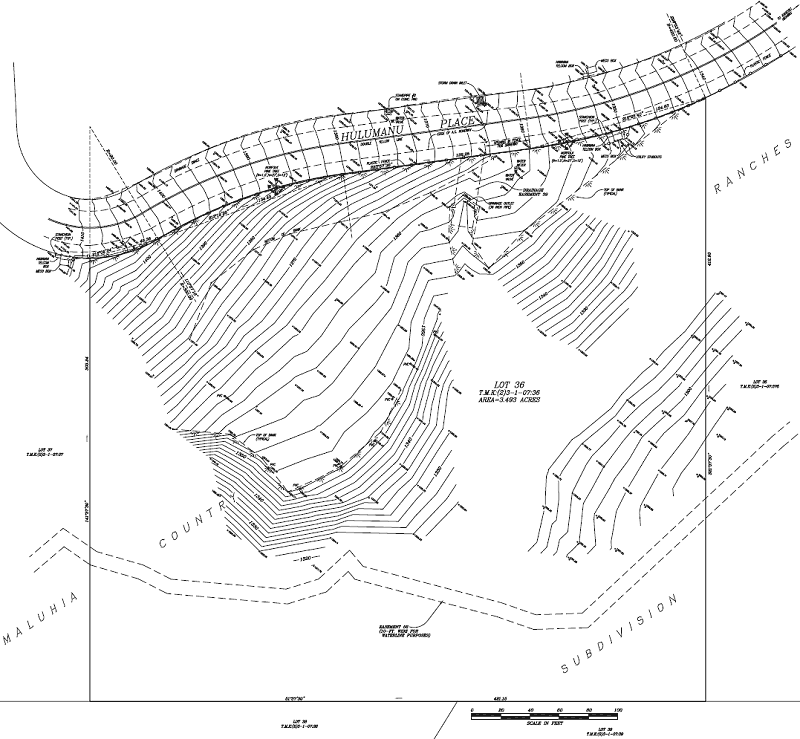 New Topographic Map.  Each line is two feet.