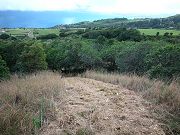 Path Down to Second Clearing