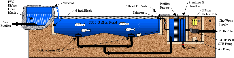 Pond Schematic