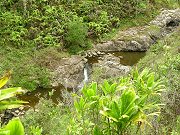 Ponds and Stream Above Property with Low Volume in Mid July