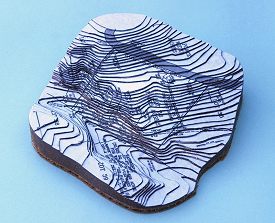 Topographic Model
