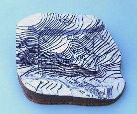 Topographic Model