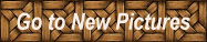 Go to New Pictures
